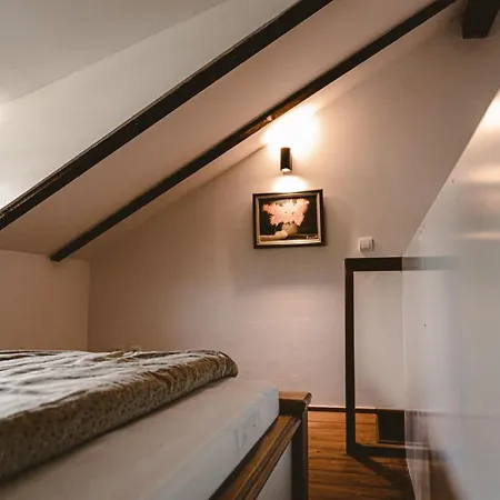 Apartament Garden Oasis