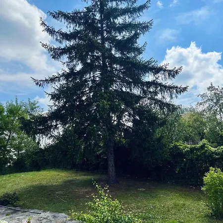 Garden Oasis