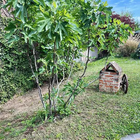 Garden Oasis Apartament *